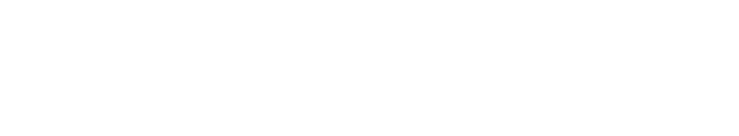Meidlinger Group